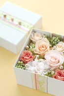gift